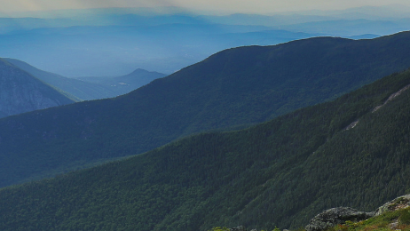 5% to the Community and Environment - 2022