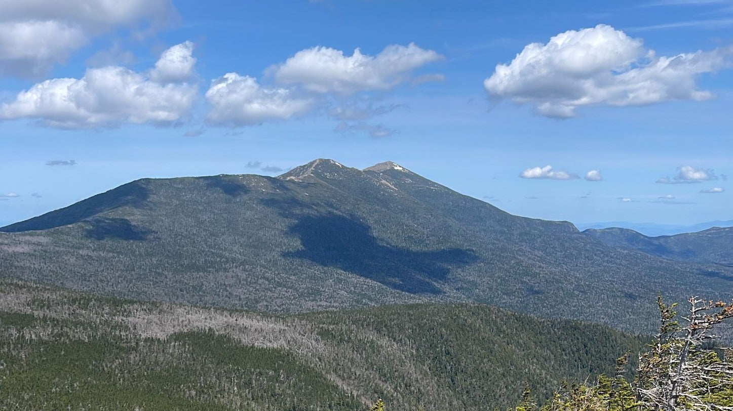 Back in the Saddle, Again