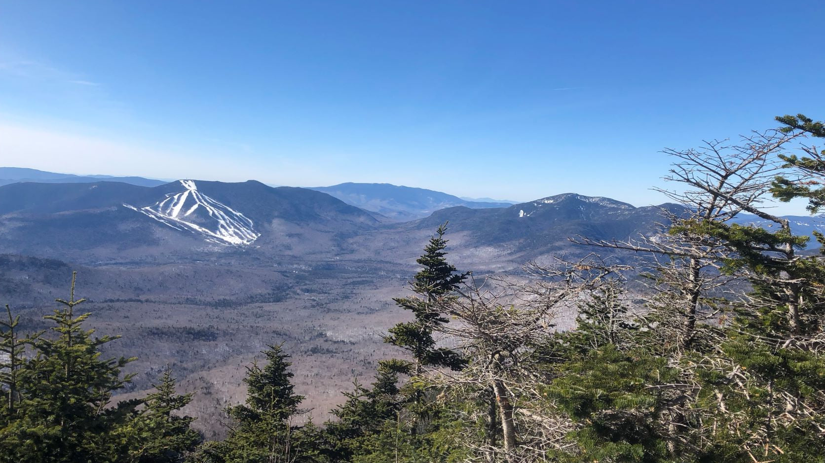 Five Surprising Winter Views