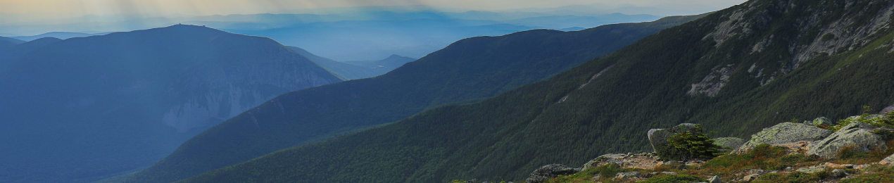 5% to the Community and Environment - 2022