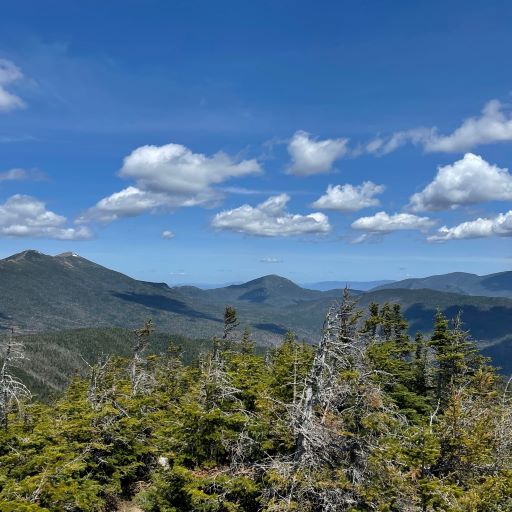 Burgeon Outdoor Update, September 15th