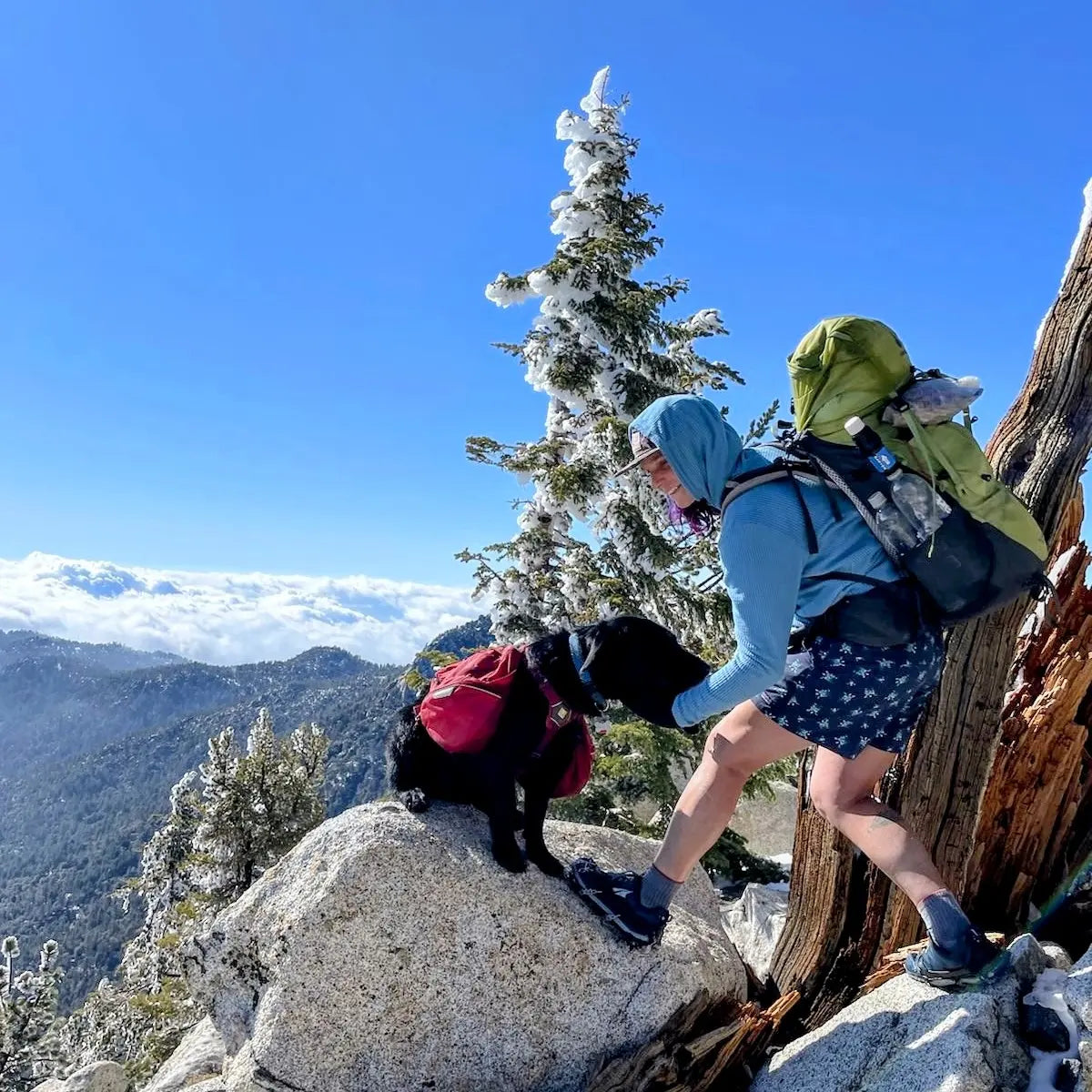 What I'm bringing to thru-hike a new route from Mexico to Canada