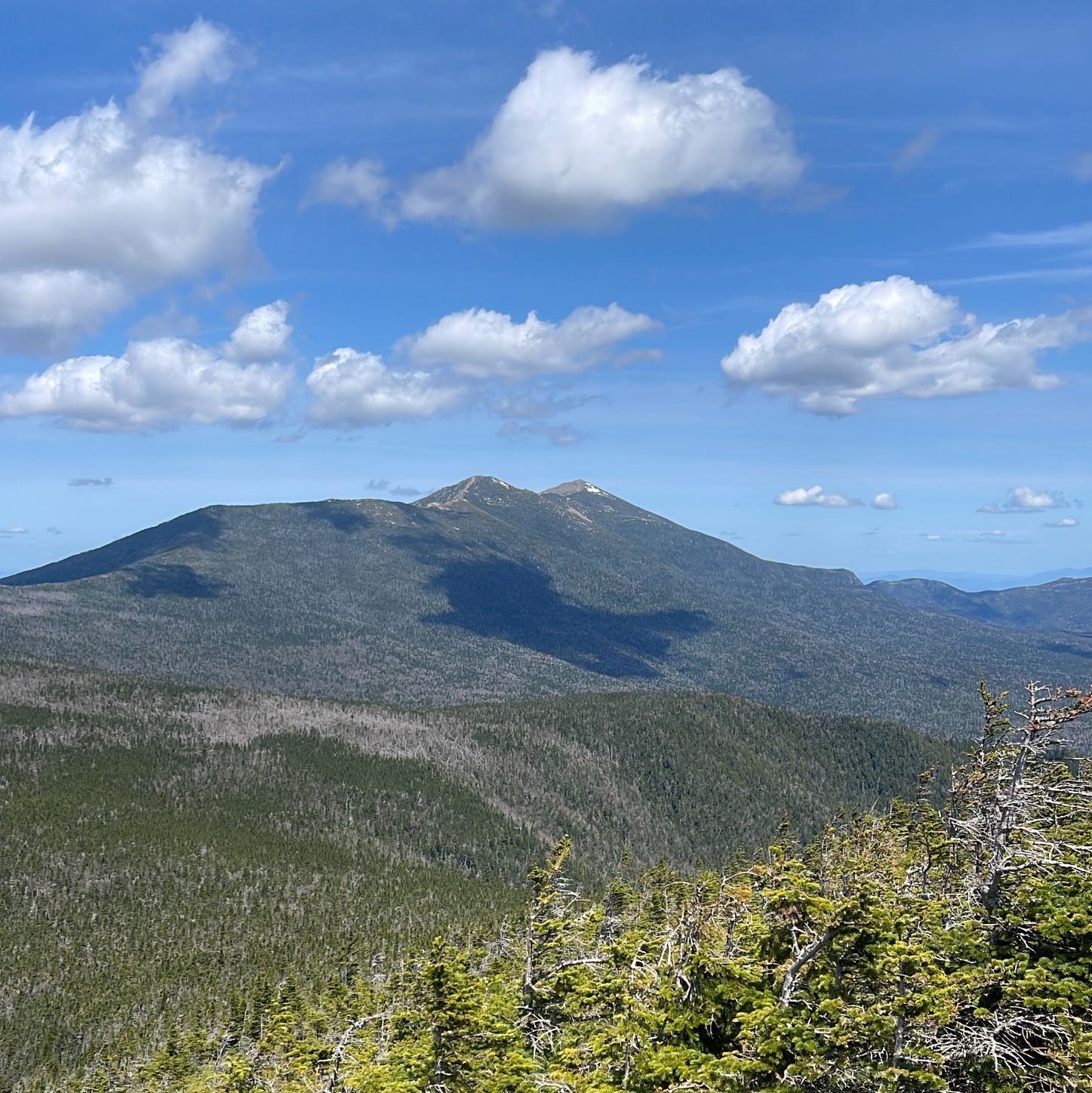 Back in the Saddle, Again