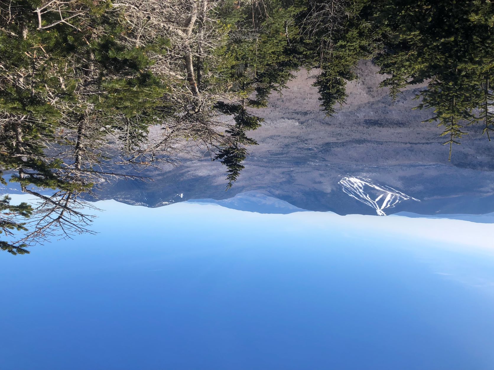 Five Surprising Winter Views