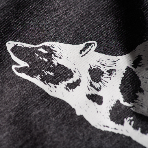 Close up photo of wolf's head from Be the Wold logo.