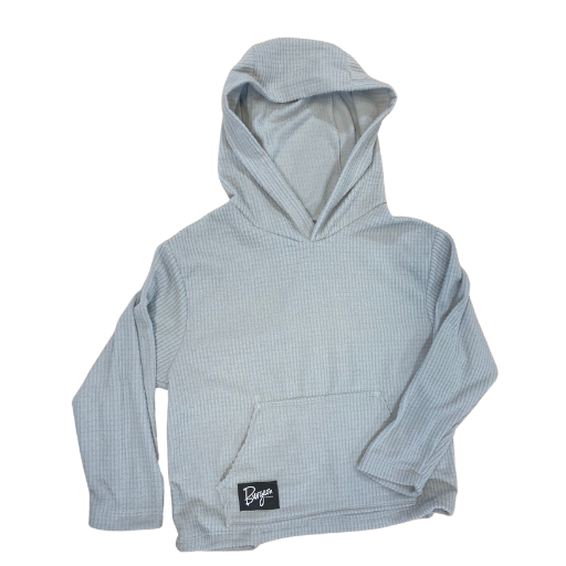 Nike sb deals microfleece hoodie